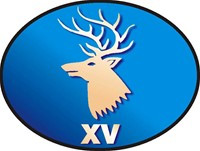 15 (UK) PSYOPS Group Stag's head logo