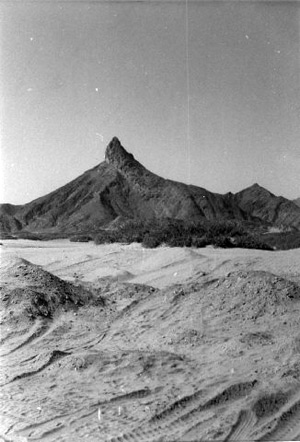 Aden Emergency - Up country in Aden