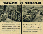 ZG.13, Propaganda und Wirklichkeit