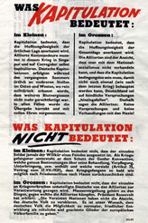 Random PSYOP leaflet - What Capitulation Means
