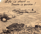 Random PSYOP leaflet - Now you've seen war at its worst.