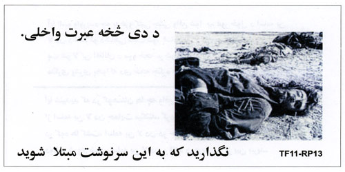 TF11-RP13, Text Unknown (Dead Taliban/al-Qaida)
